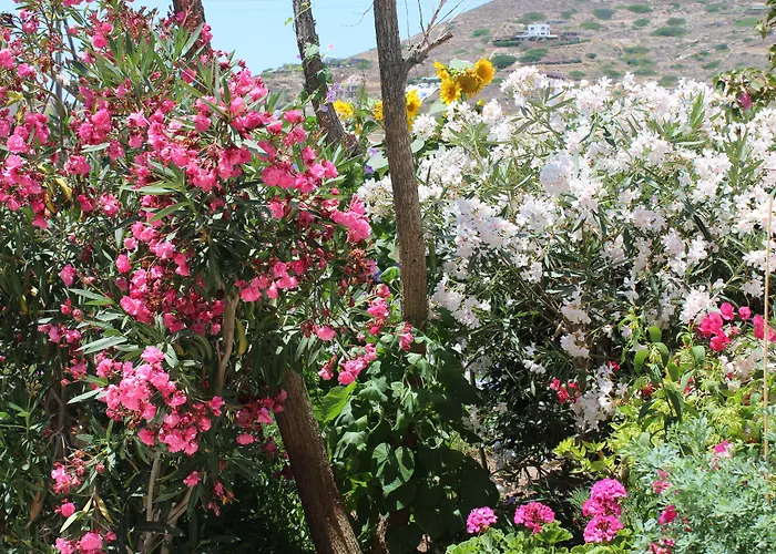 Mare Monte